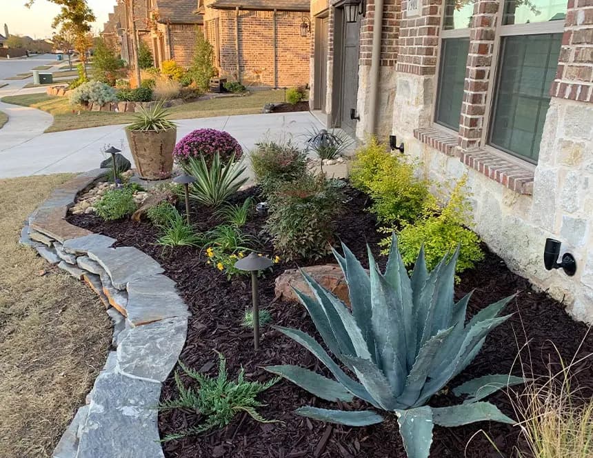 Layered North Texas planting and a finished landscape bed beside a residential entry